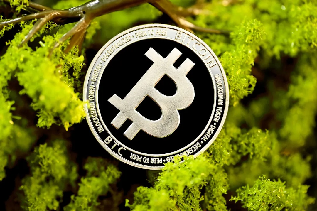 Bitcoin coin with clock representing long-term investment